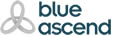Blue ascent hidrolik dişli pompalar