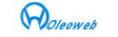 Oleoweb hidrolik valfler